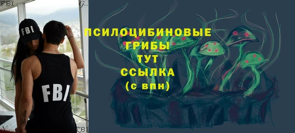 мдпв Инта