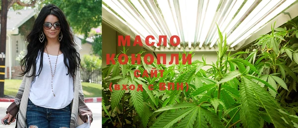 мдпв Инта