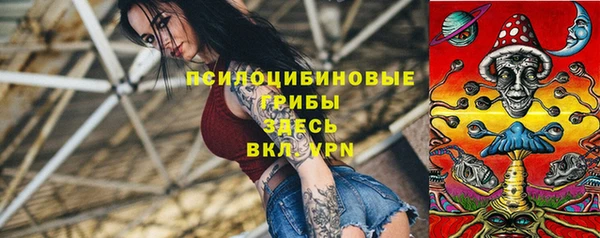 марки lsd Инсар