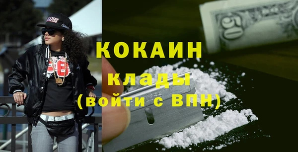 мдпв Инта