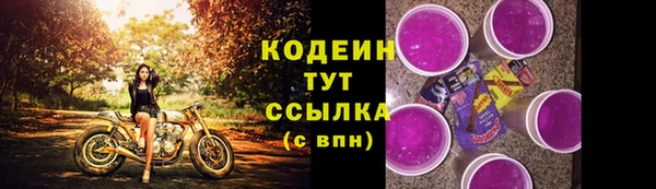 мдпв Инта