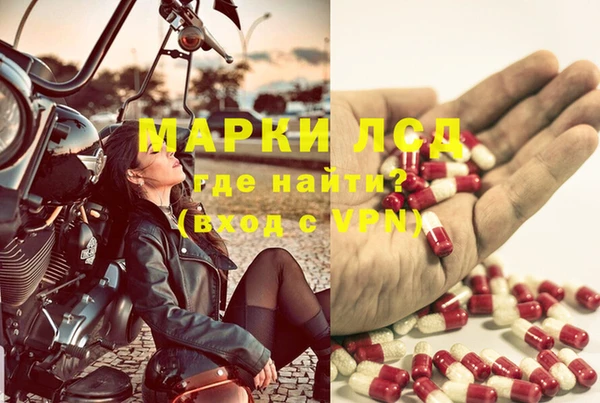 мдпв Инта